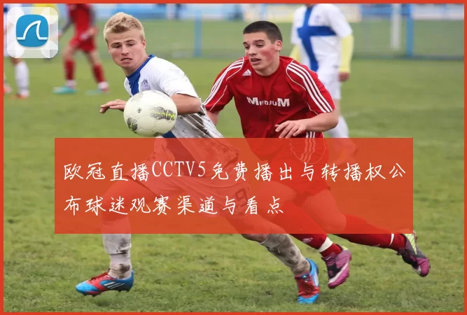 欧冠直播CCTV5免费播出与转播权公布球迷观赛渠道与看点