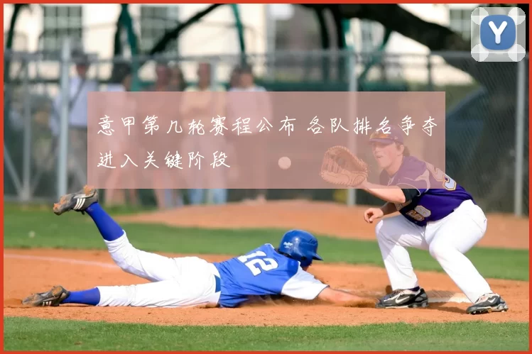 意甲第几轮赛程公布 各队排名争夺进入关键阶段