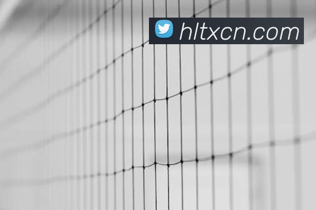 6T体育(6T SPORTS)中文官方网站服务体系